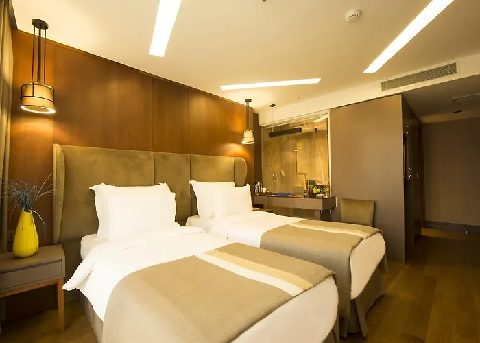 ホテル The Way イスタンブール