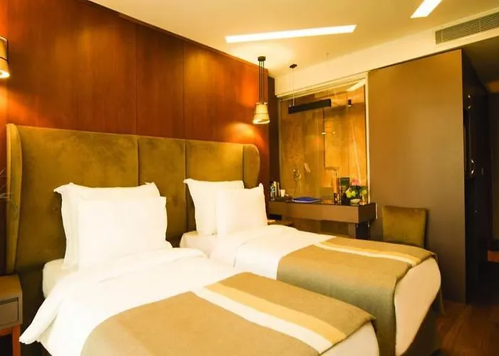 ホテル The Way イスタンブール